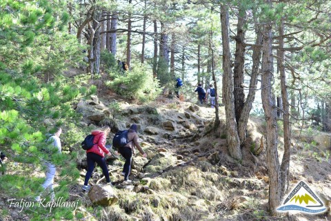 16722663_1298636896841799_3028089322329888452_o